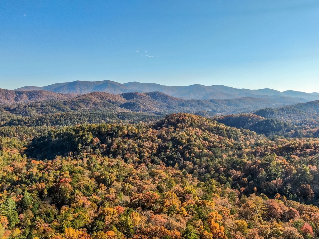 420787 Blue Ridge Residential