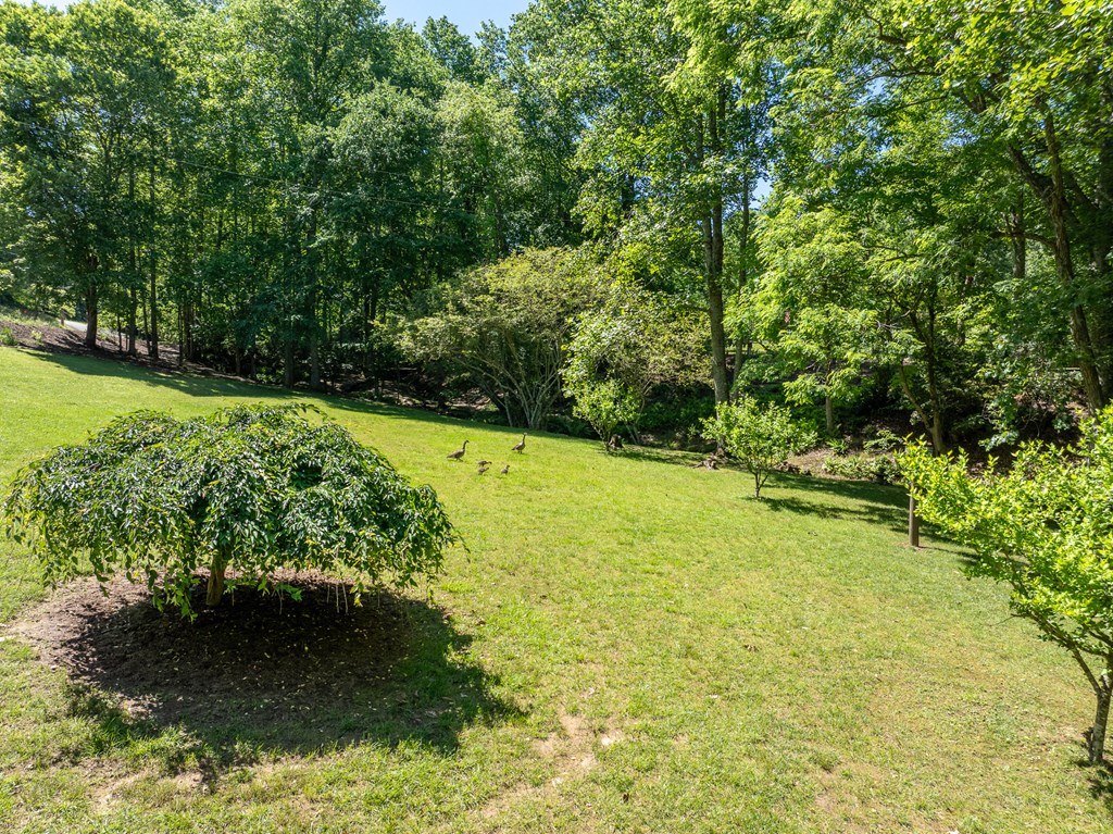 420803 Blairsville Residential