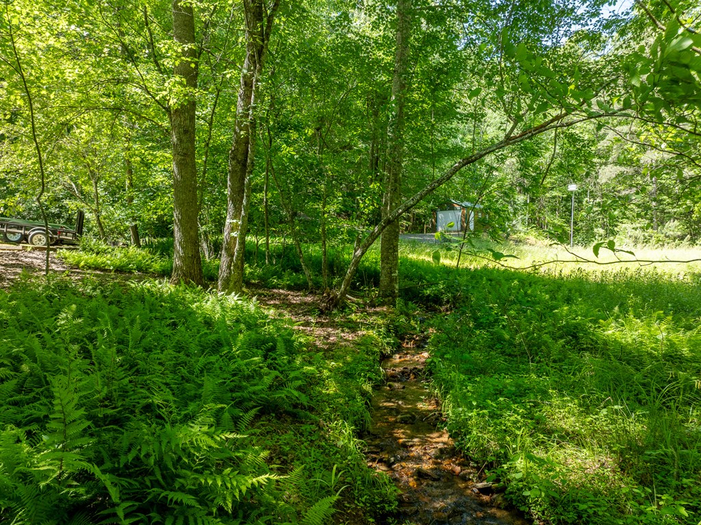 420803 Blairsville Residential