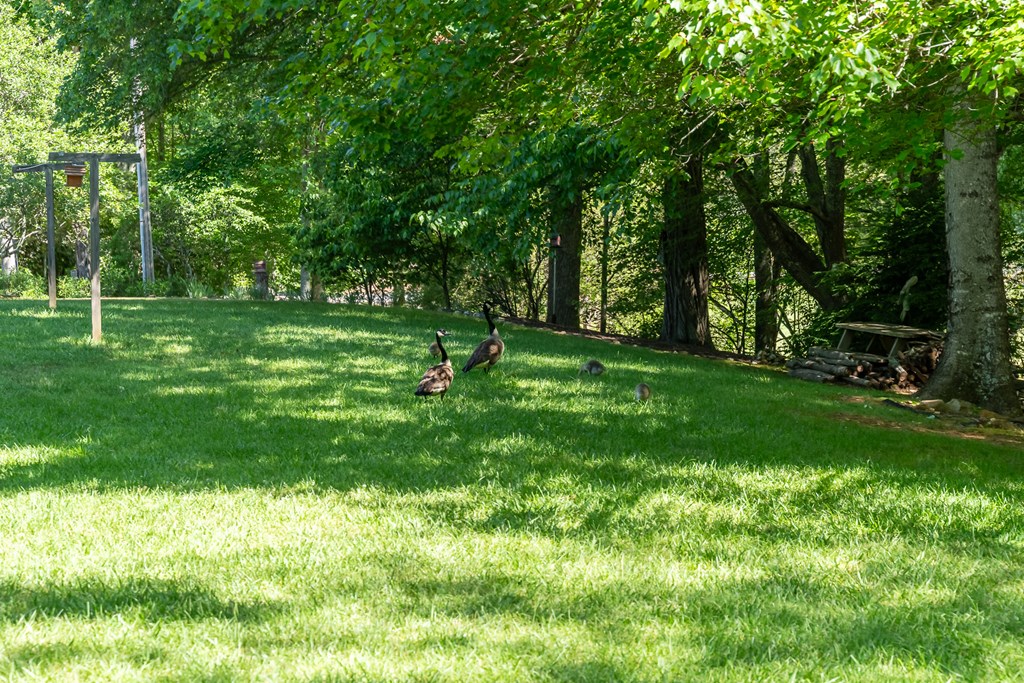 420803 Blairsville Residential