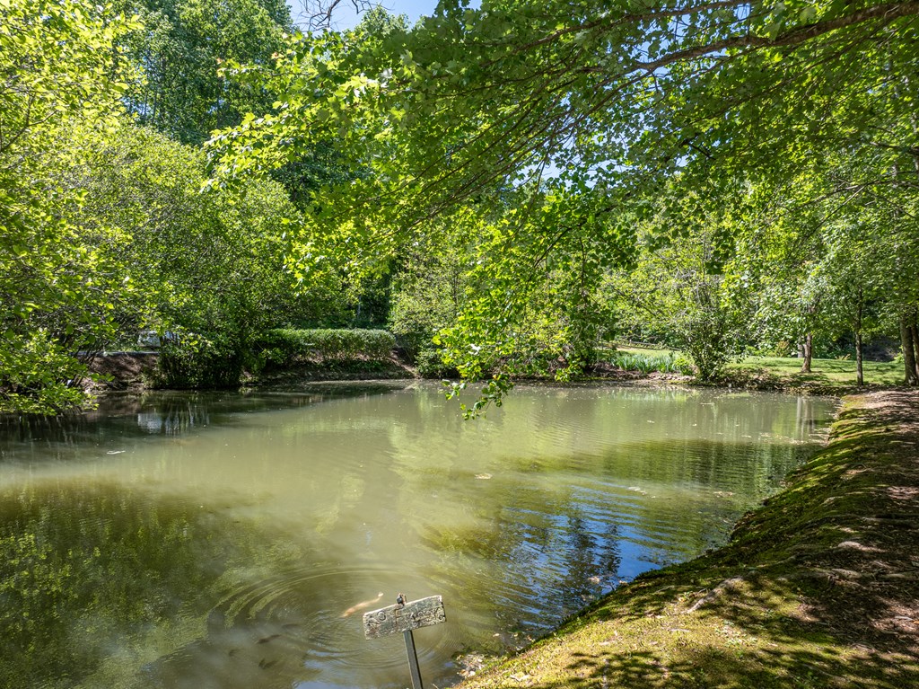 420803 Blairsville Residential