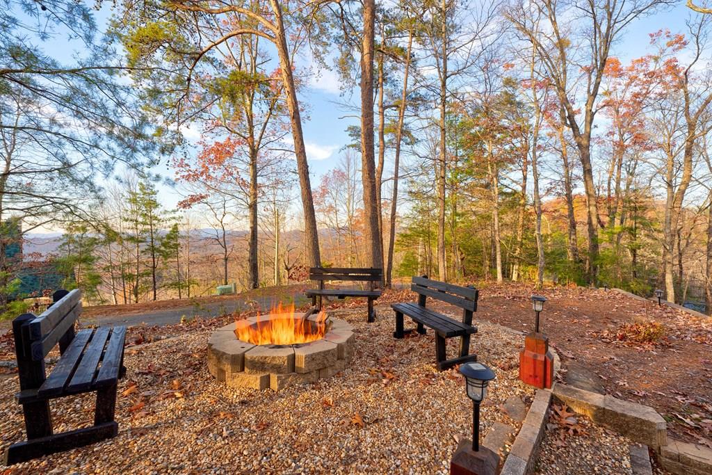 420804 Mineral Bluff Residential