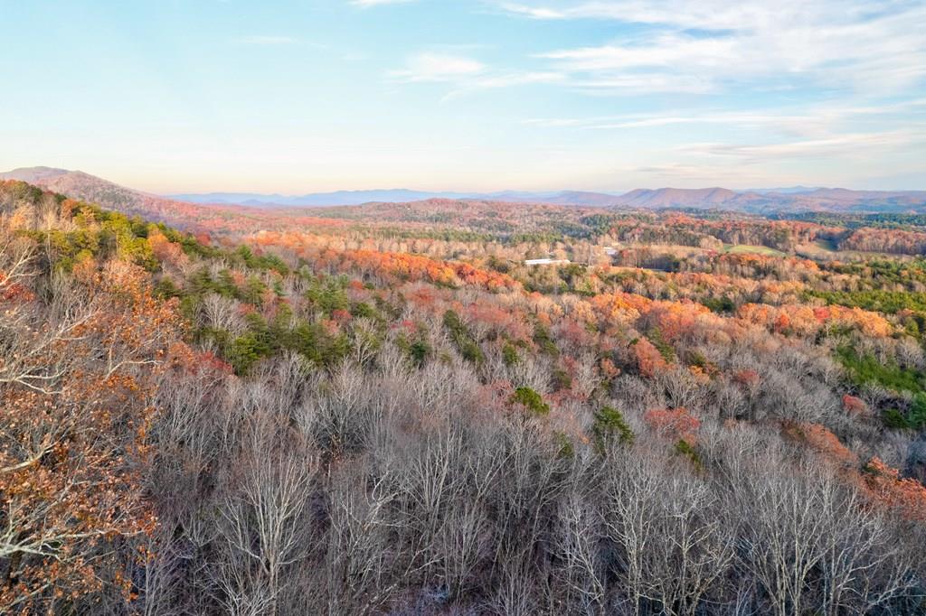 420804 Mineral Bluff Residential