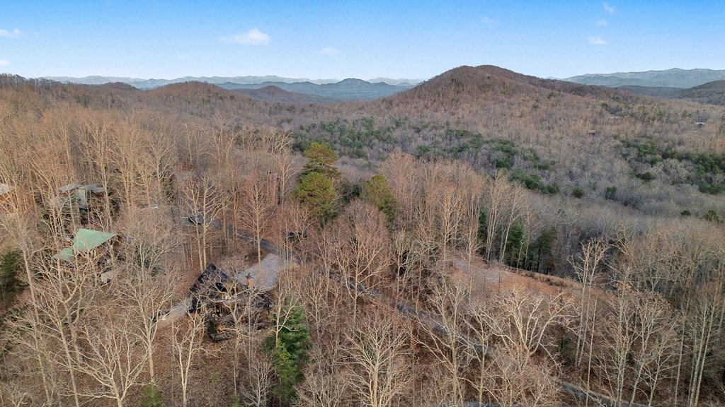 420809 Mineral Bluff Residential