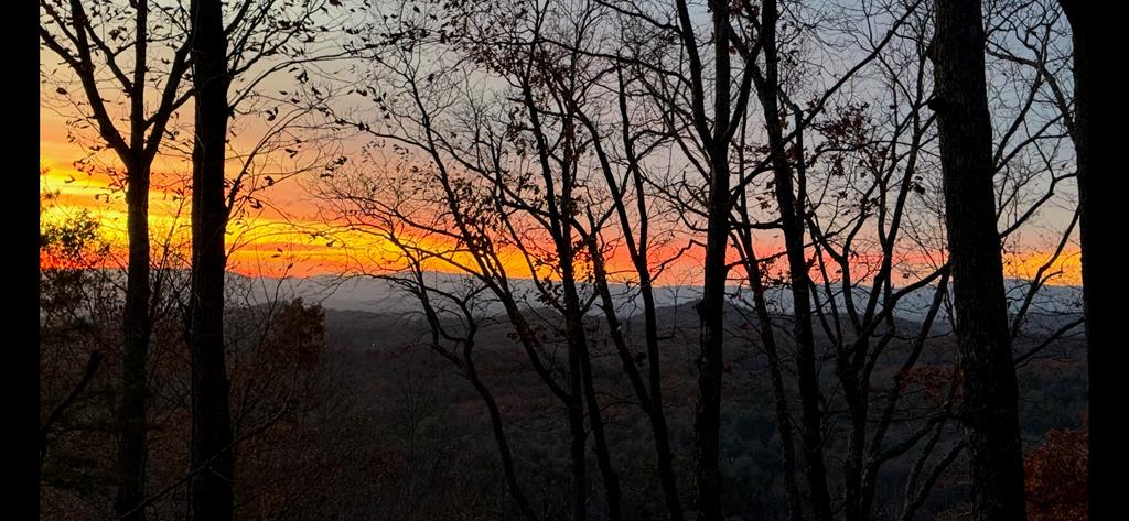 420809 Mineral Bluff Residential