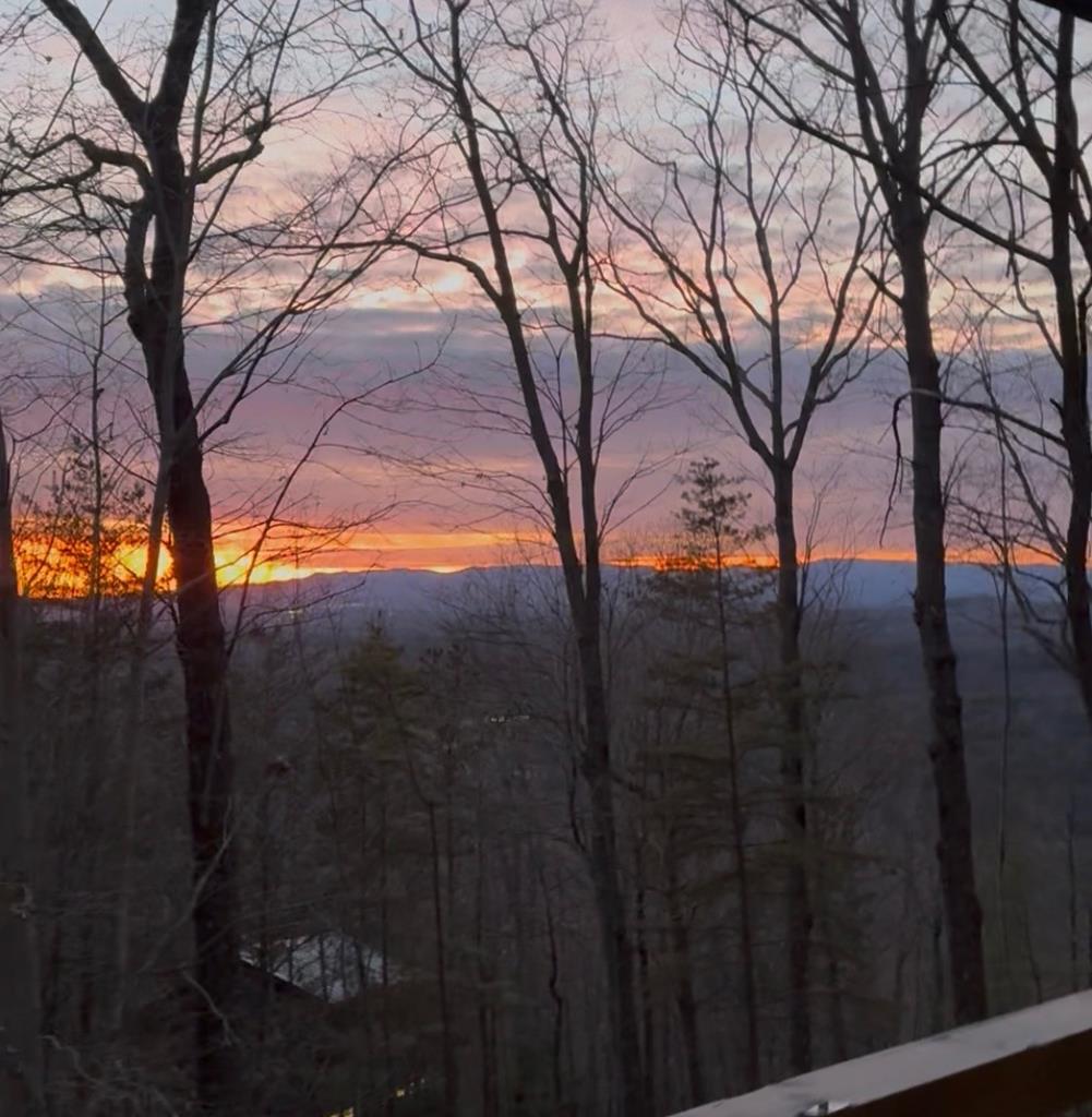 420809 Mineral Bluff Residential