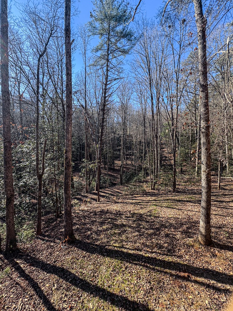 420820 Murphy Residential