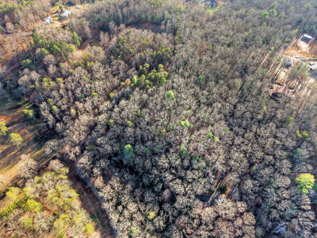 420854 Mineral Bluff Residential