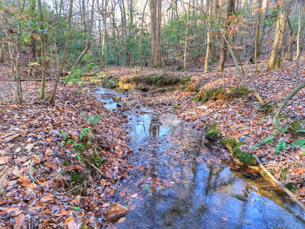 420854 Mineral Bluff Residential