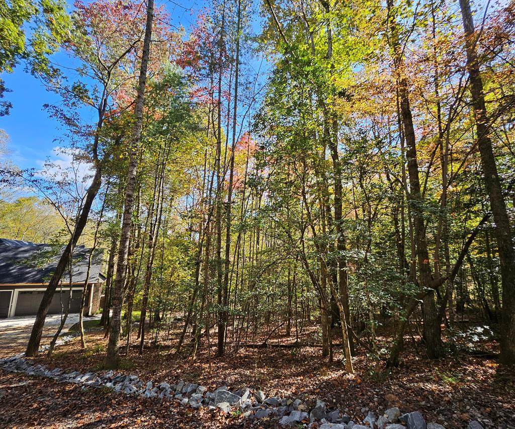 420865 Morganton Residential