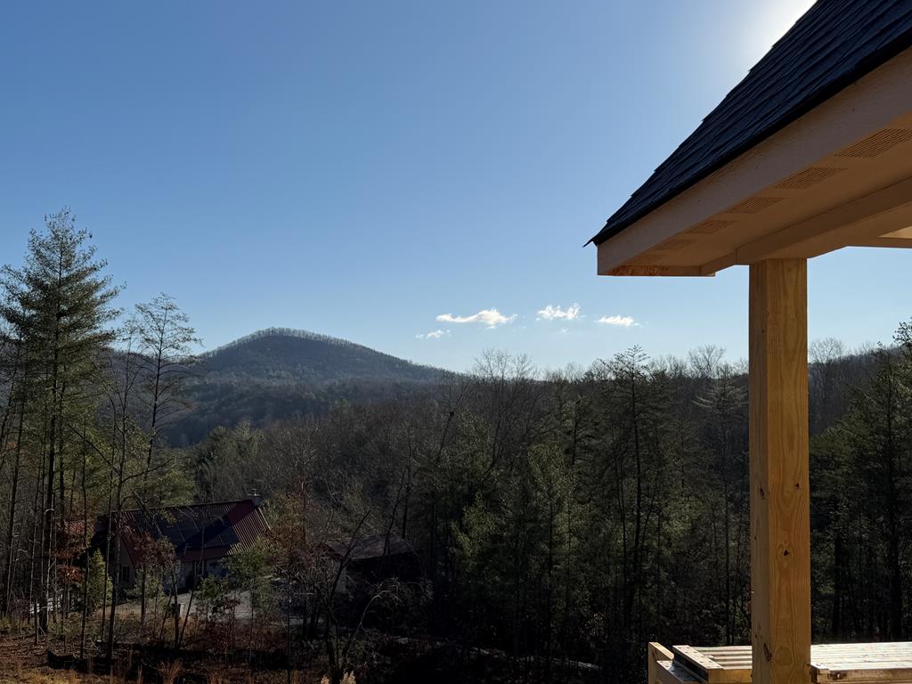 420872 Mineral Bluff Residential