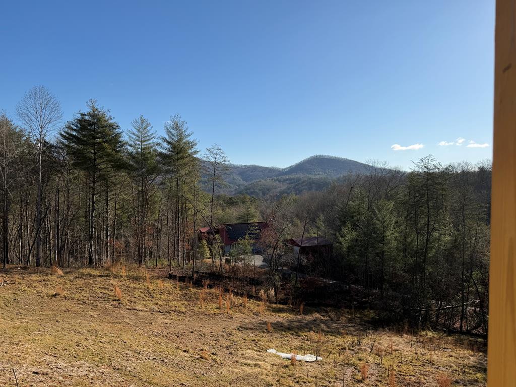 420872 Mineral Bluff Residential