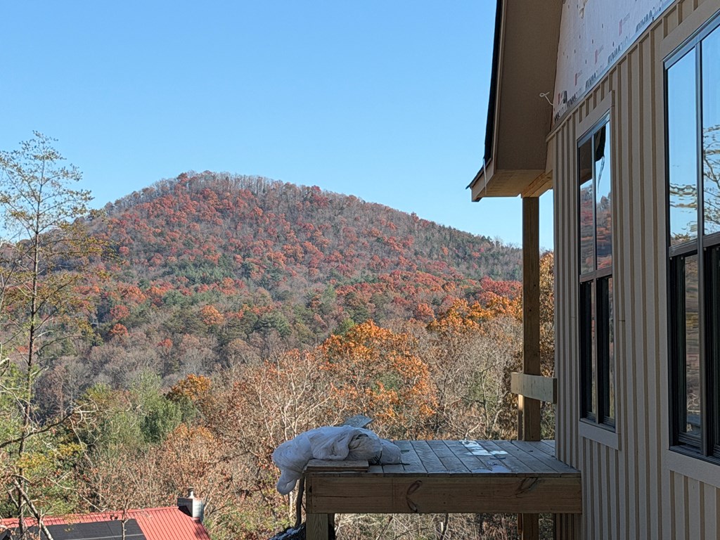 420872 Mineral Bluff Residential