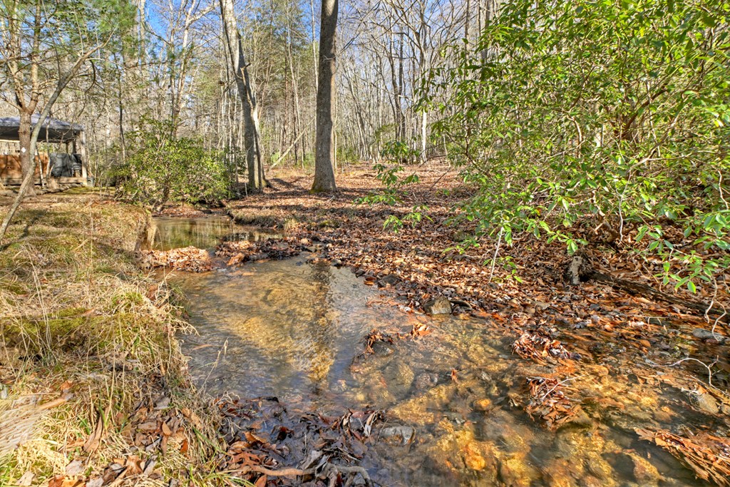 420897 Morganton Residential