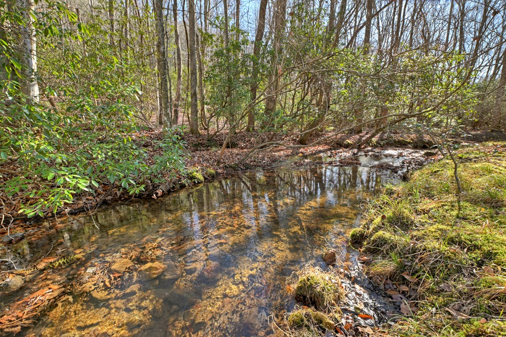 420897 Morganton Residential