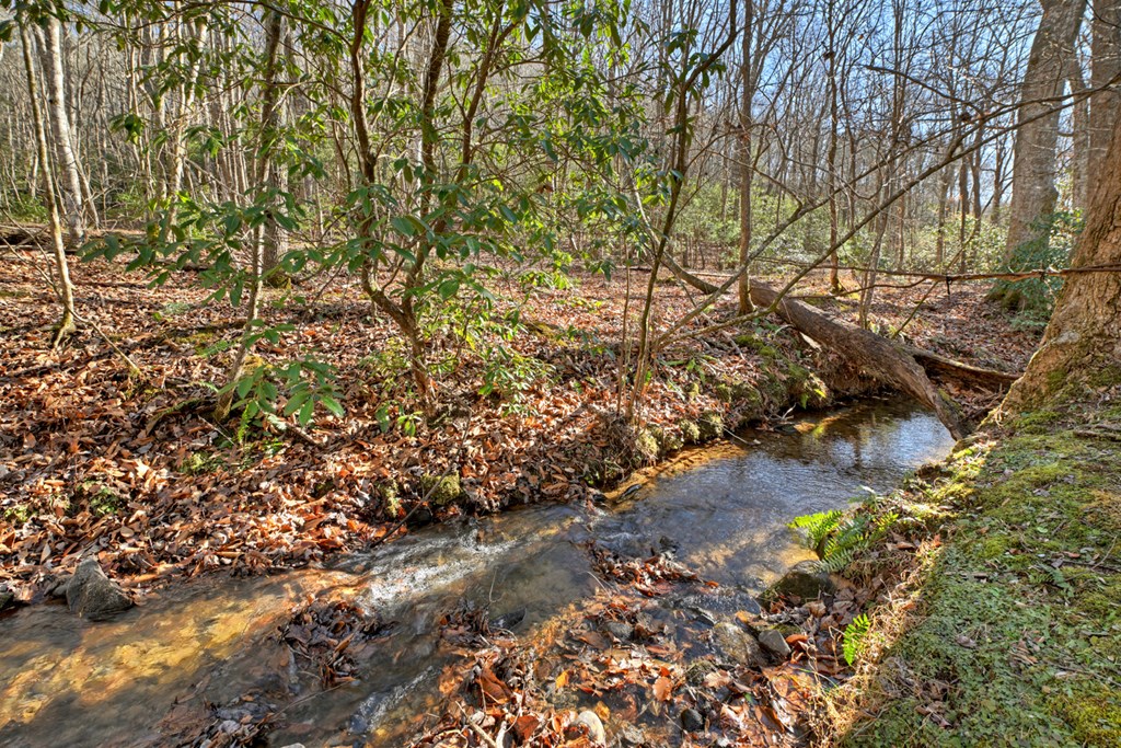 420897 Morganton Residential