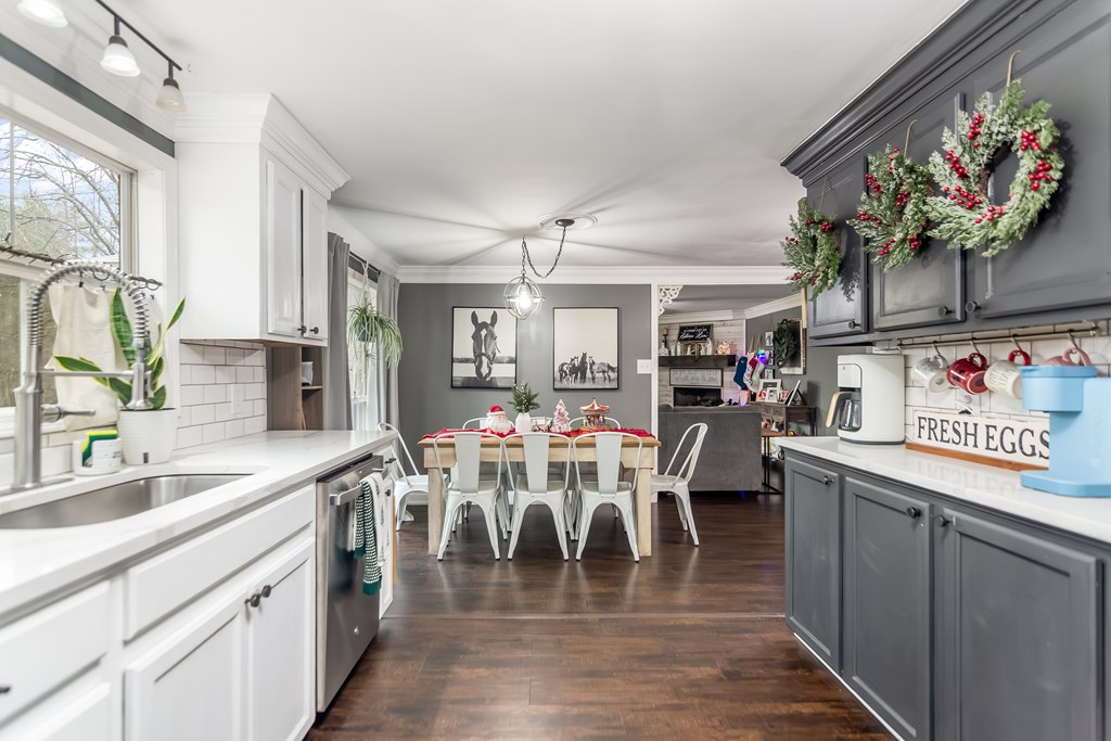 420903 Mineral Bluff Residential