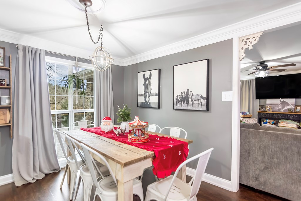 420903 Mineral Bluff Residential