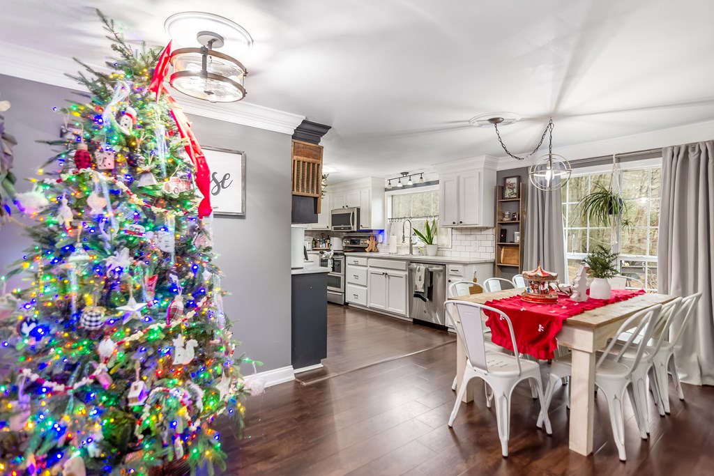 420903 Mineral Bluff Residential