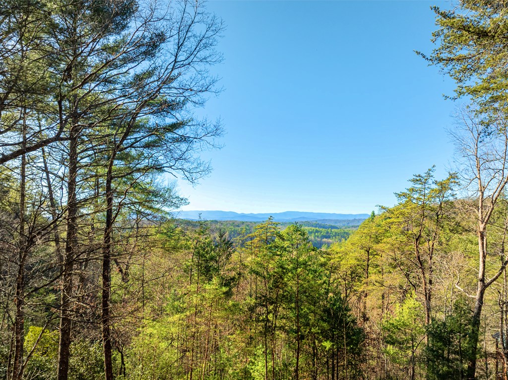 420918 Morganton Residential