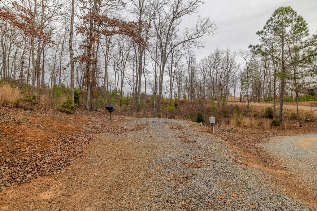 420922 Ellijay Residential