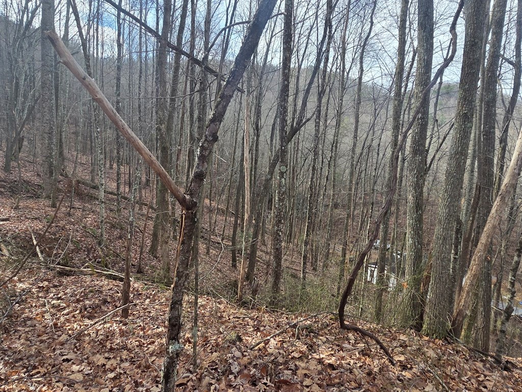 420957 Turtletown Residential