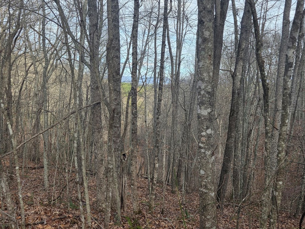 420957 Turtletown Residential