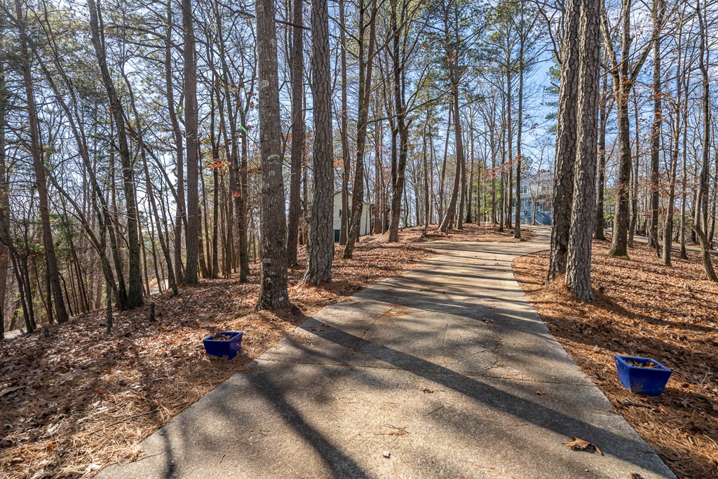 420962 Ellijay Residential