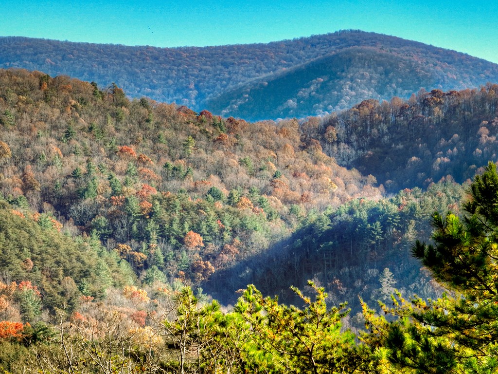 420964 Blue Ridge Residential