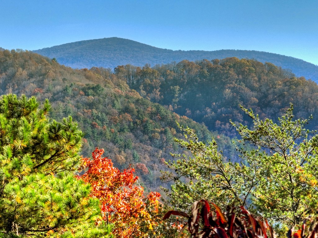 420964 Blue Ridge Residential