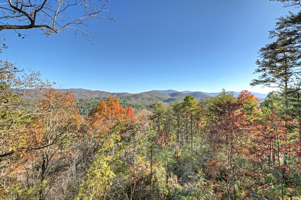 420964 Blue Ridge Residential