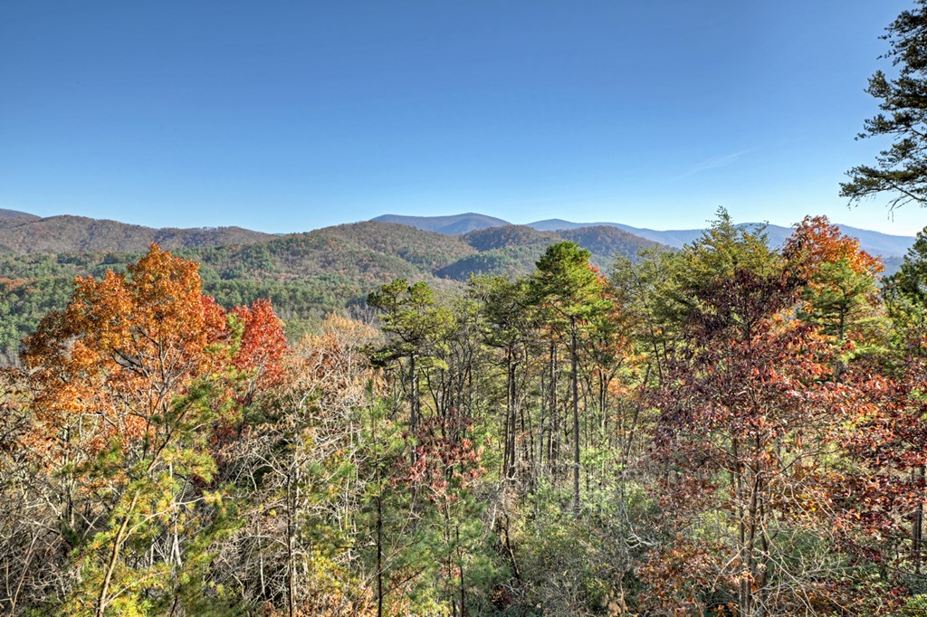 420964 Blue Ridge Residential