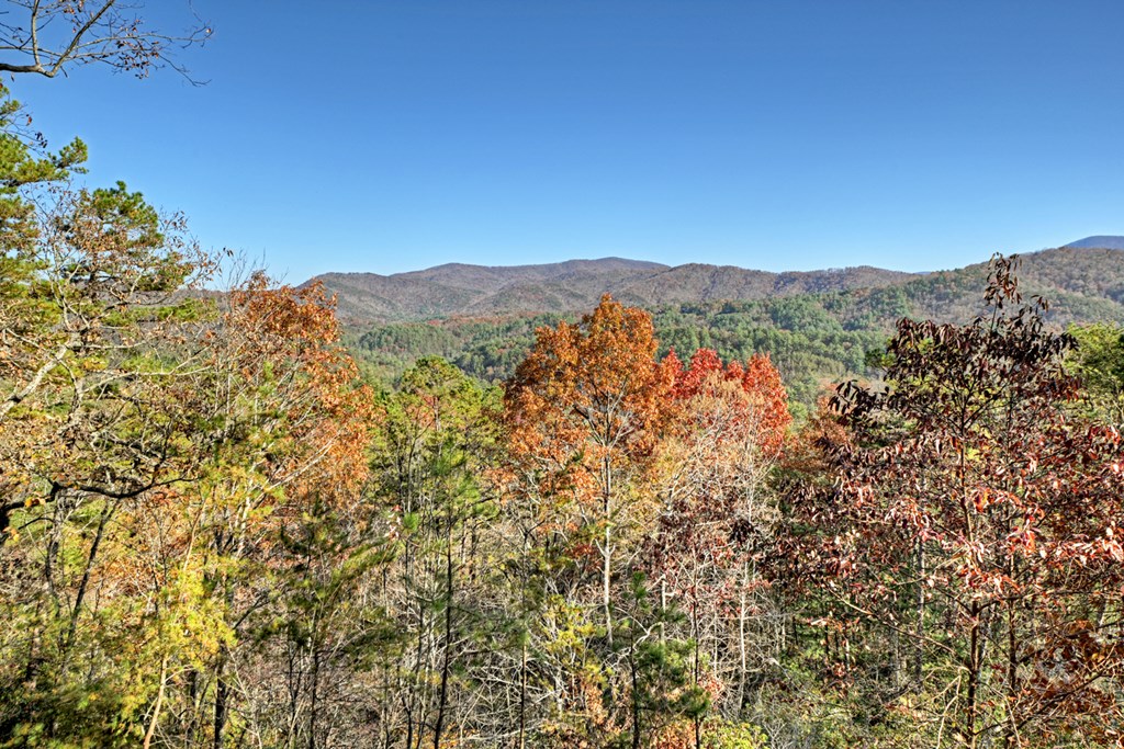 420964 Blue Ridge Residential