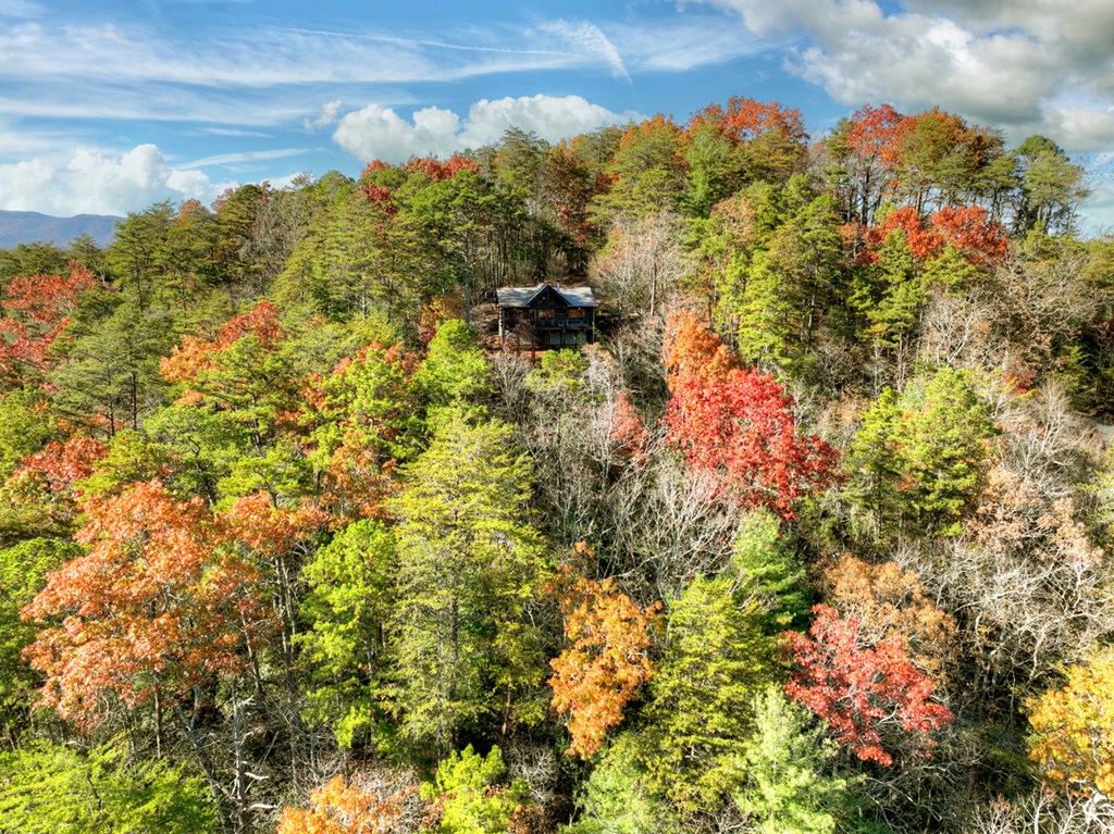 420964 Blue Ridge Residential