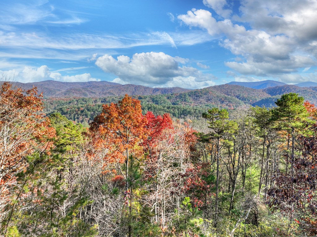 420964 Blue Ridge Residential