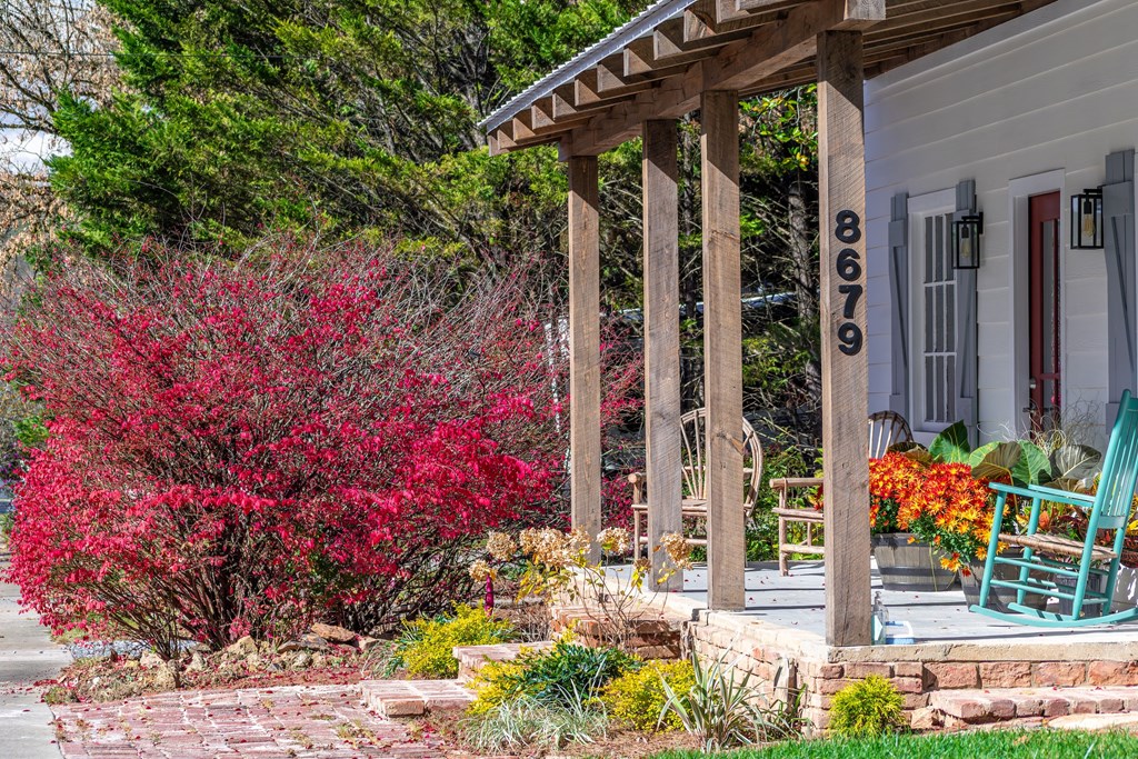 420973 Mineral Bluff Residential