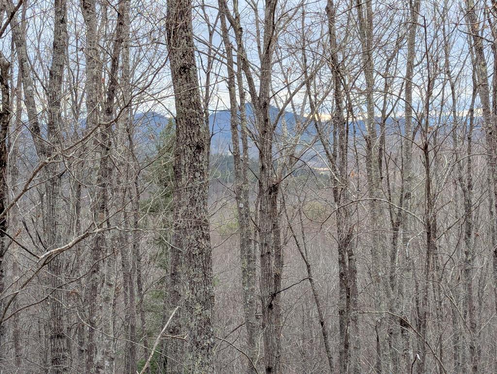 420985 Blairsville Residential