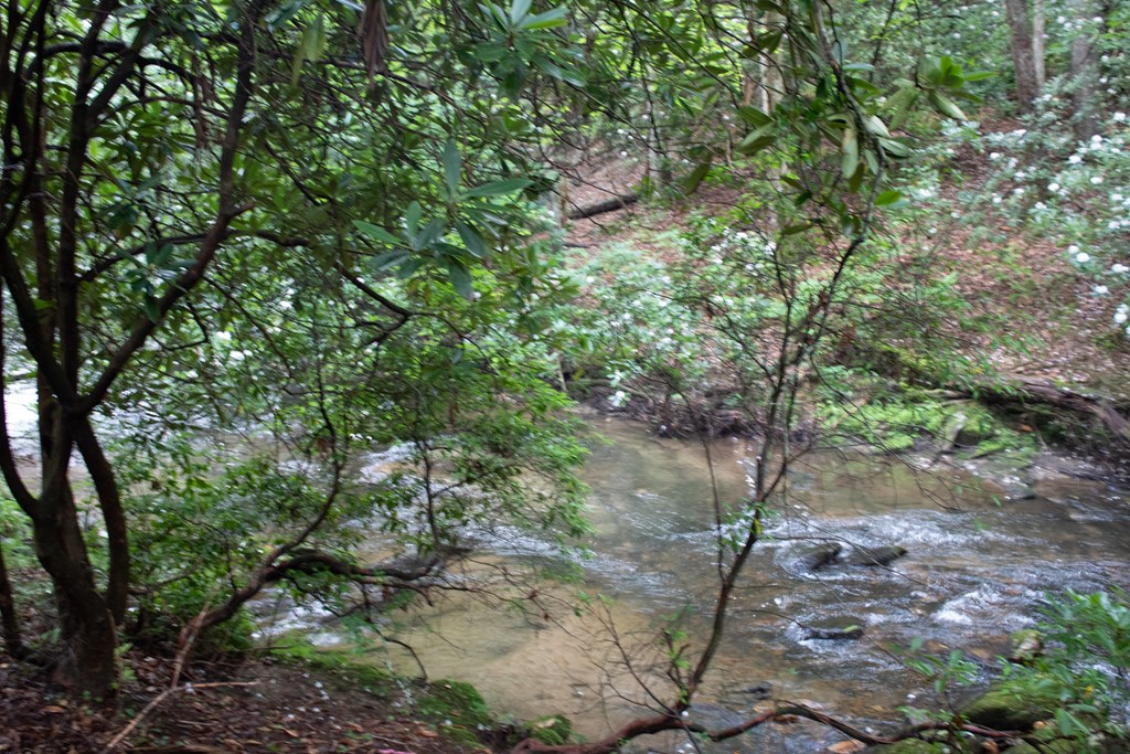 421011 Blue Ridge Residential