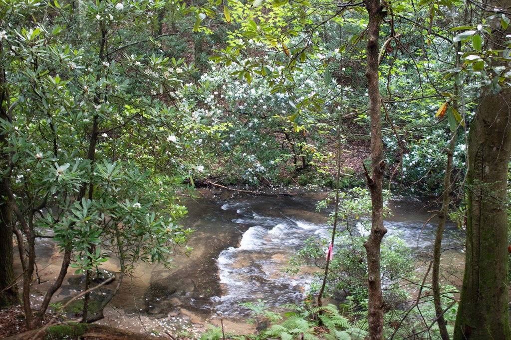 421011 Blue Ridge Residential