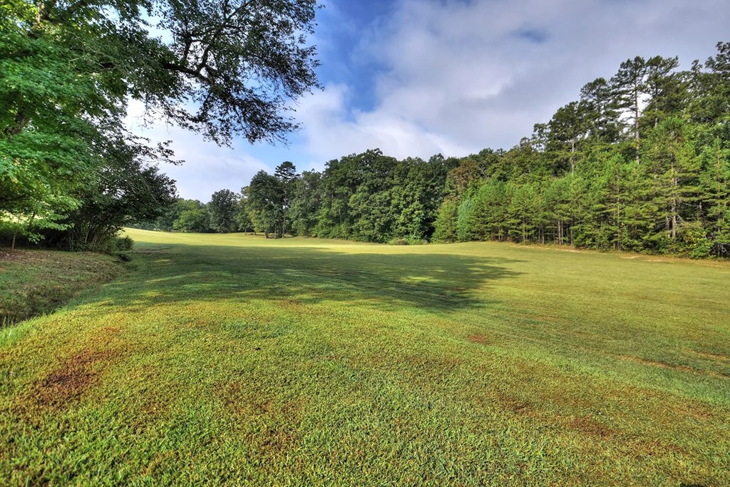 421014 Mineral Bluff Residential