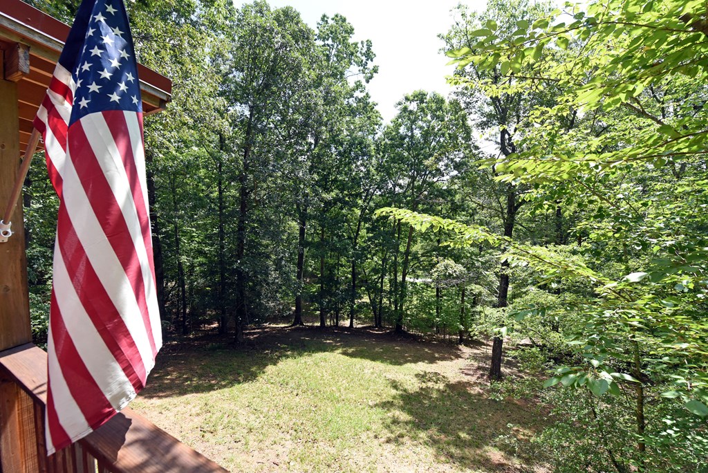 421020 Mineral Bluff Residential