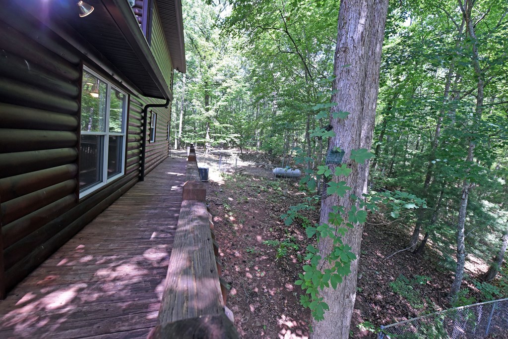 421020 Mineral Bluff Residential