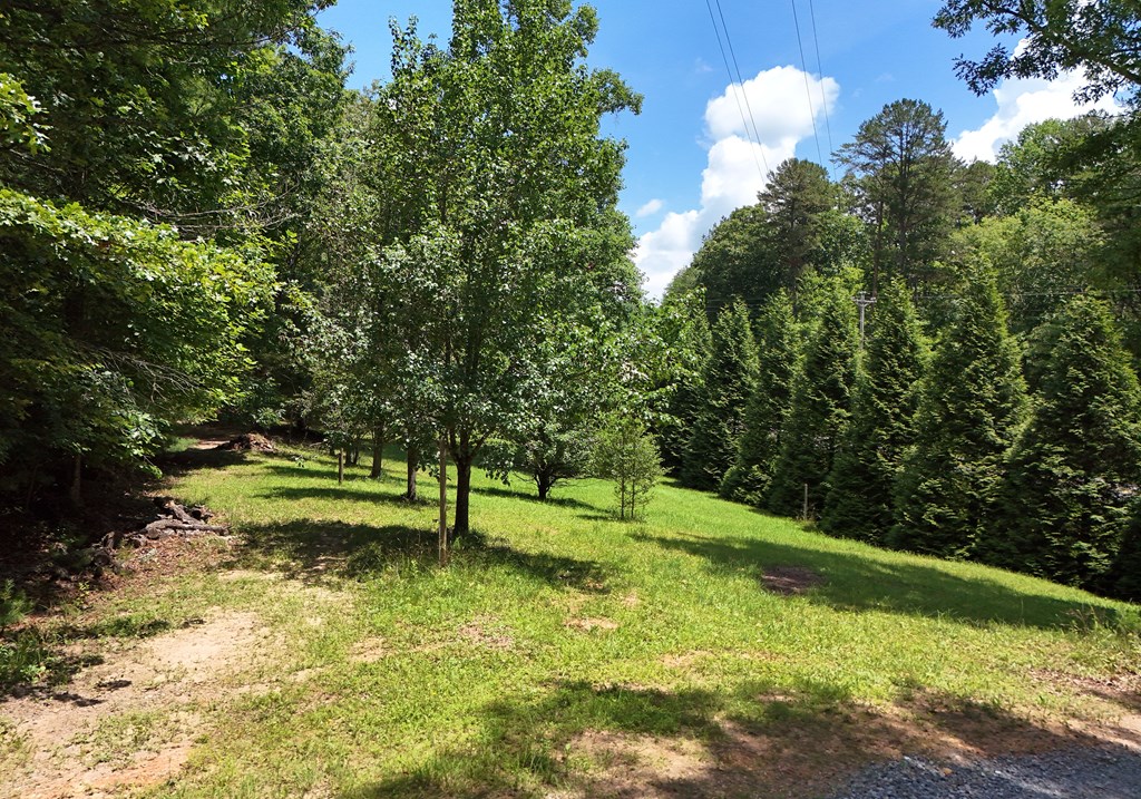 421020 Mineral Bluff Residential