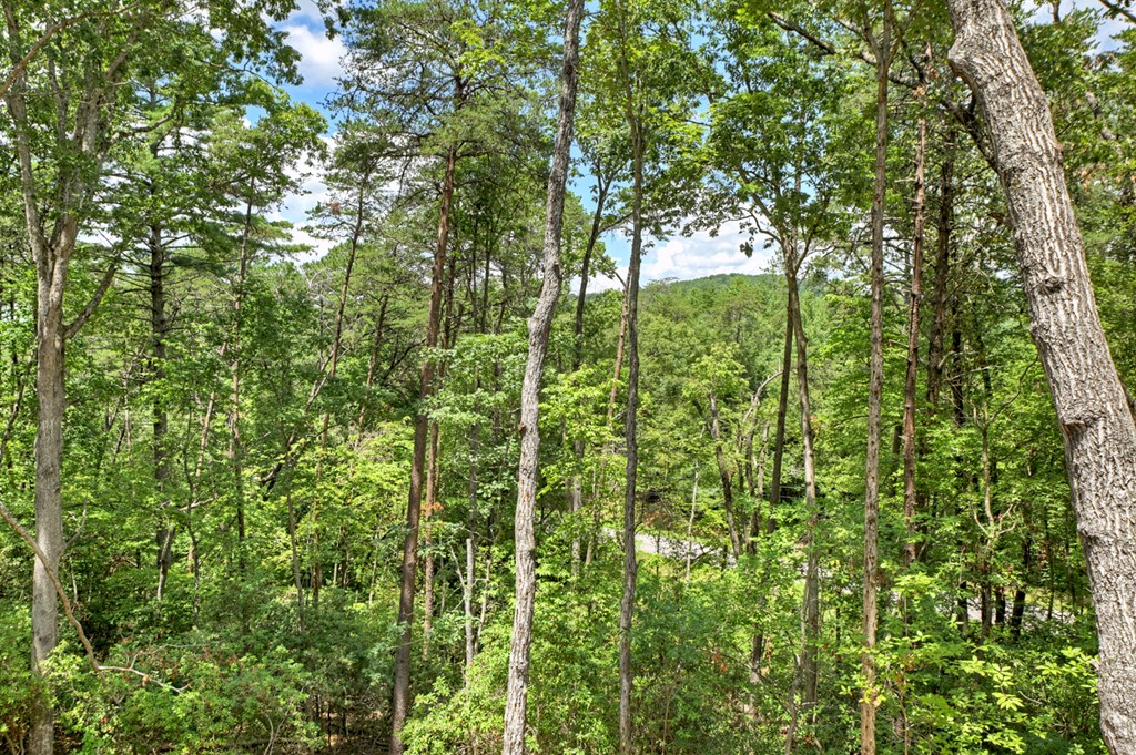 421023 Morganton Residential