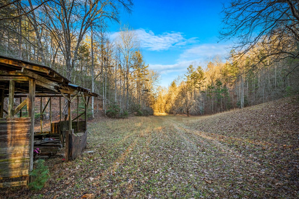 421032 Mineral Bluff Residential