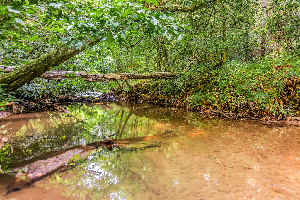 421033 Blue Ridge Residential