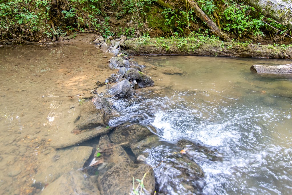 421033 Blue Ridge Residential