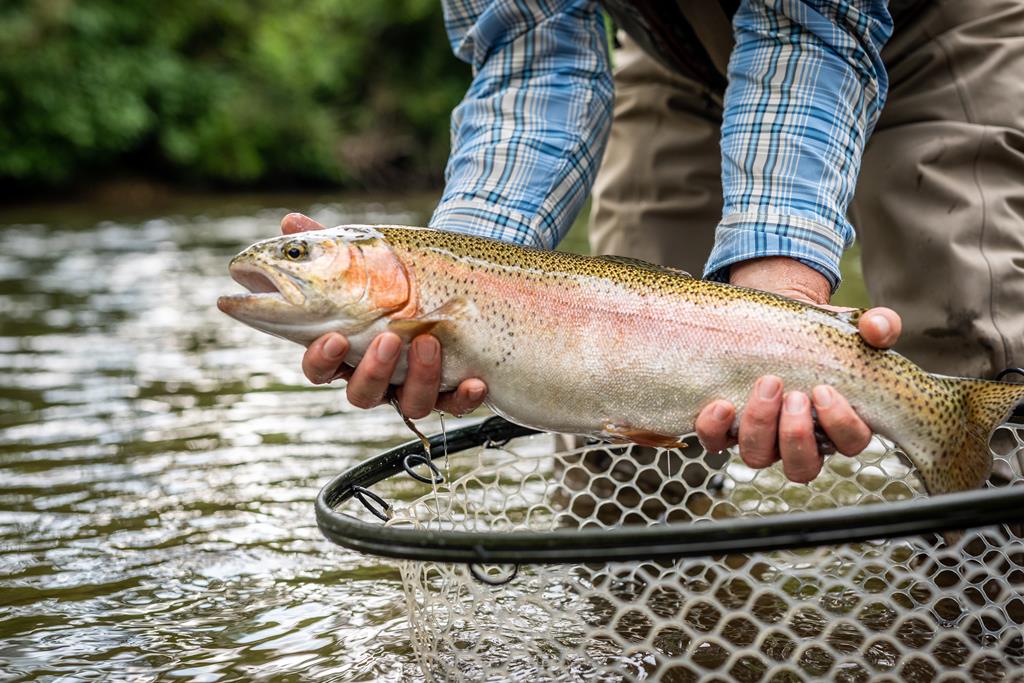 421052 Mineral Bluff Residential