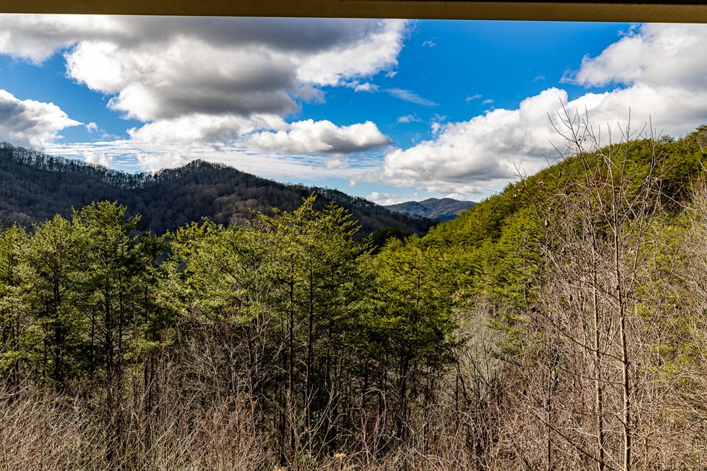 421061 Turtletown Residential