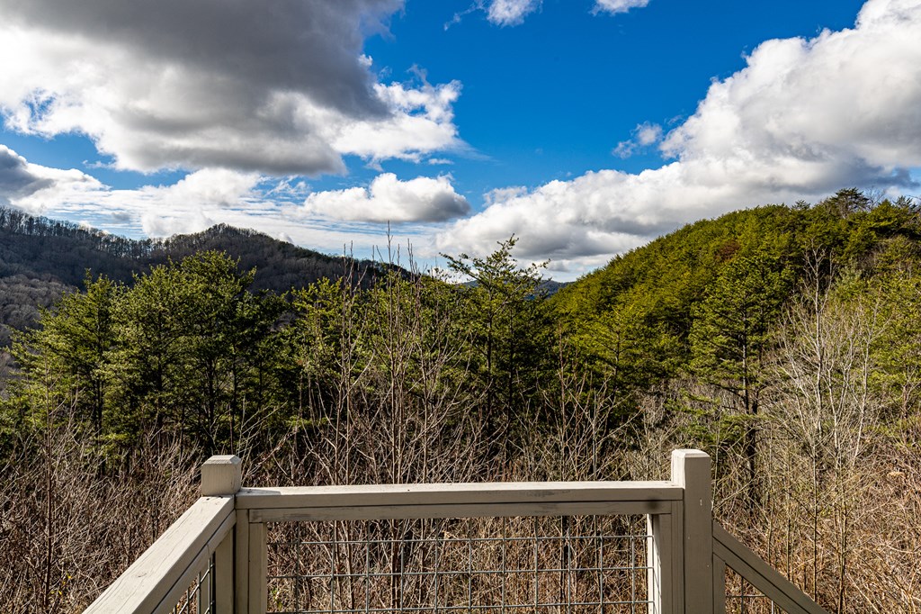 421061 Turtletown Residential